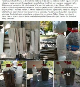 timol trake , recept - 1 